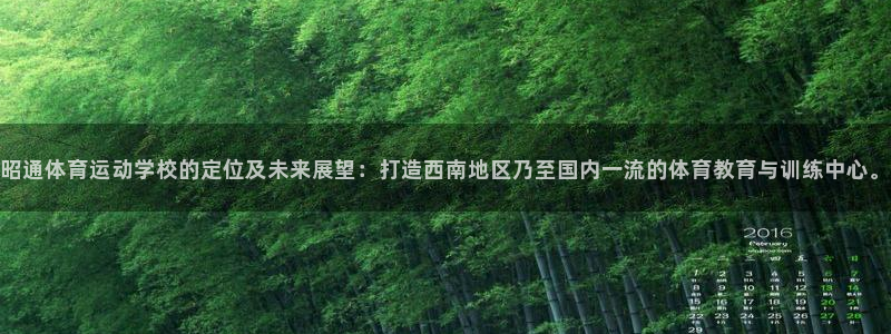 三亿体育网页版