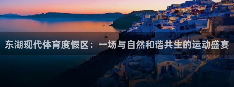 三亿体育