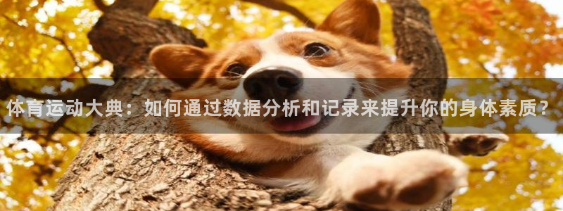 三亿体育网