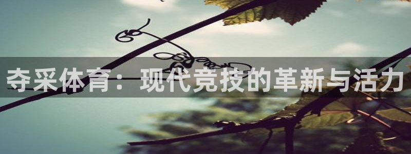 三亿体育登录