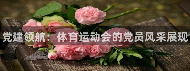 三亿体育登录