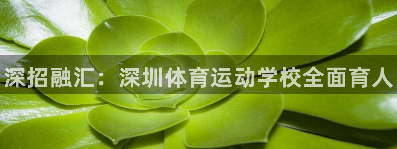 三亿体育网