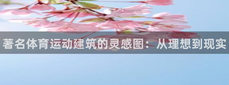 三亿体育网页版