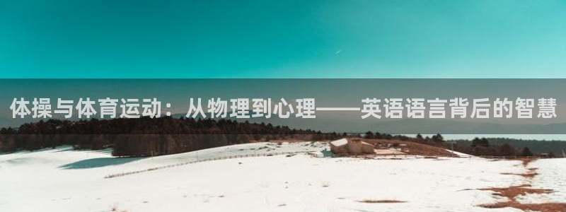 三亿体育网