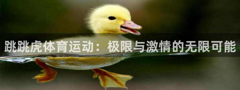 三亿体育网