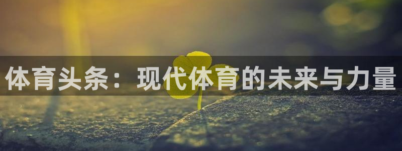 三亿体育登录