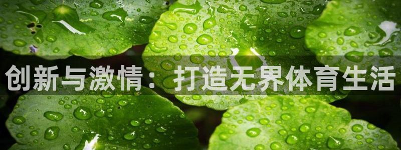 三亿体育登录