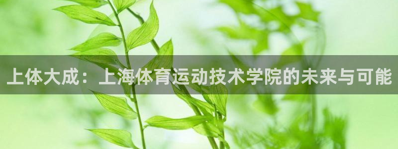 三亿体育网
