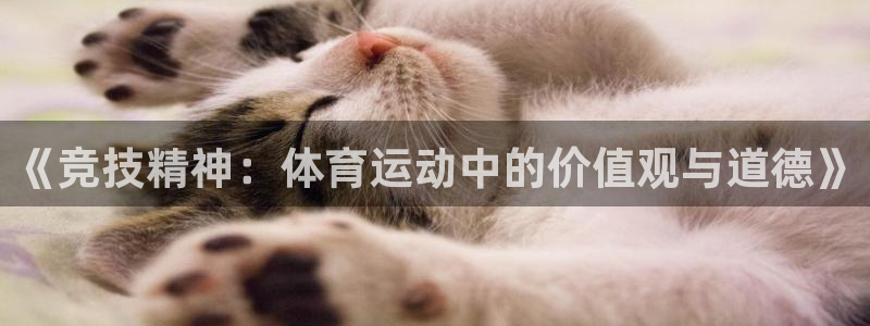三亿体育