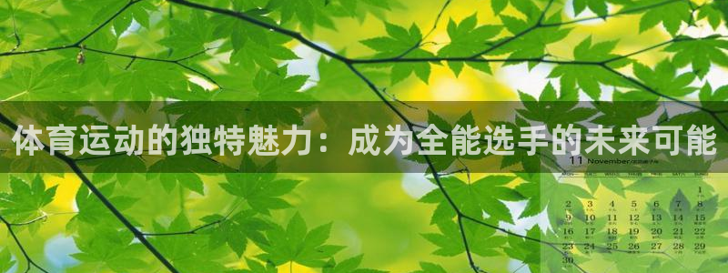 三亿体育网页版