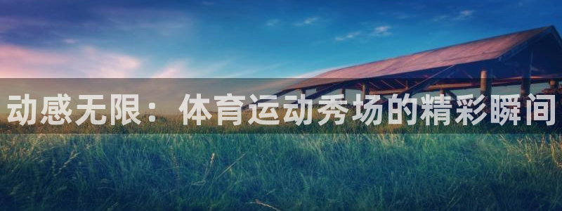 三亿体育