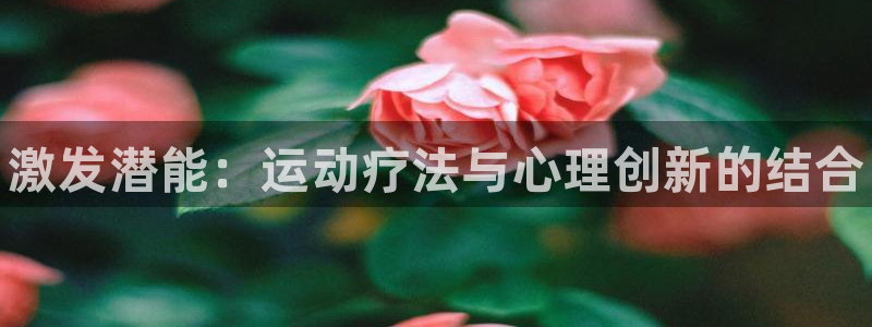 三亿体育网