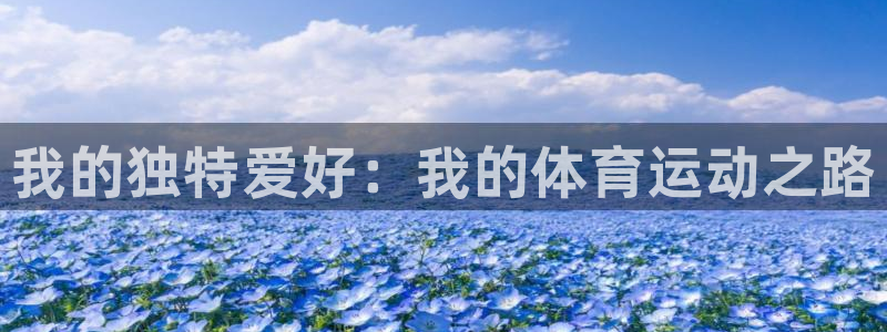 三亿体育登录