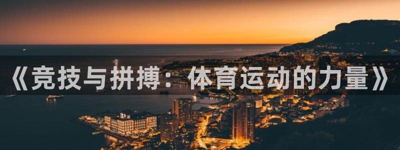 三亿体育
