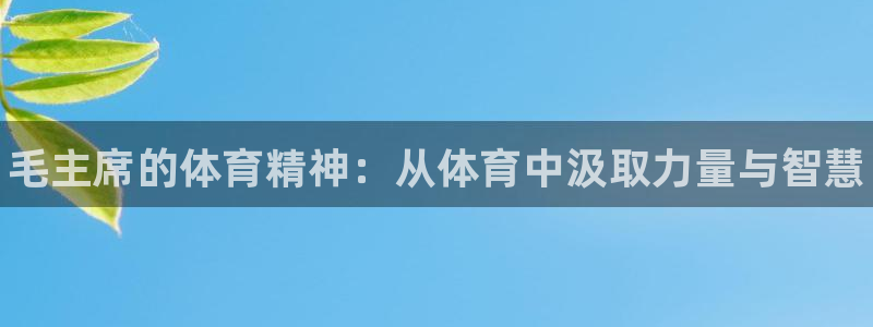 三亿体育网