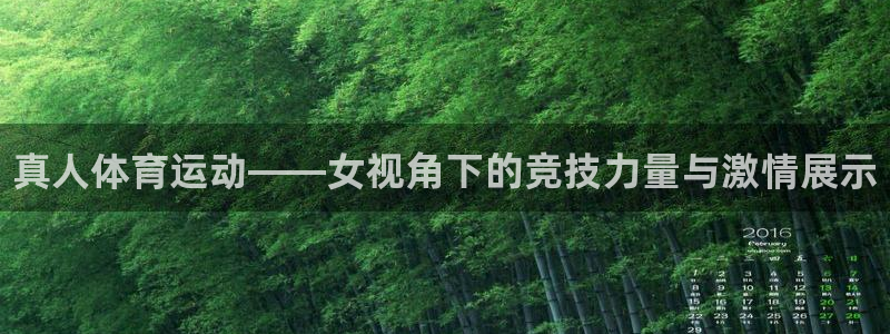 三亿体育网