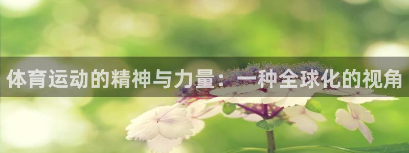 三亿体育网页版