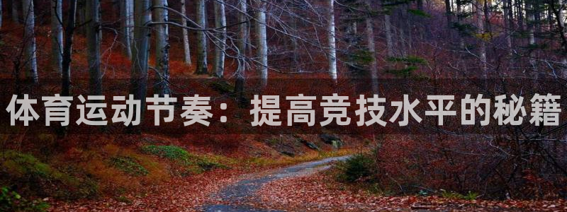 三亿体育网页版