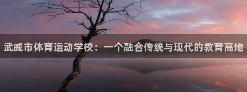 三亿体育