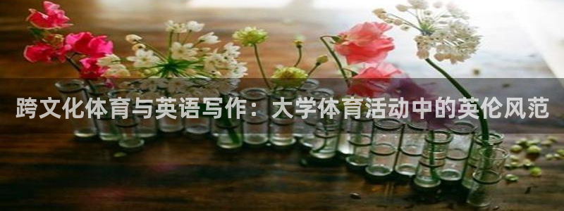 三亿体育网