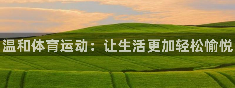 三亿体育网