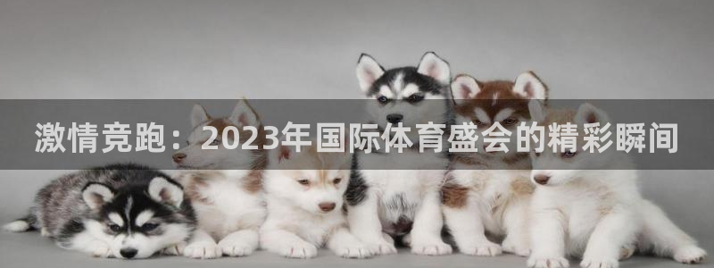 三亿体育