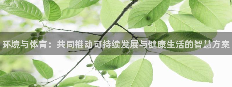 三亿体育