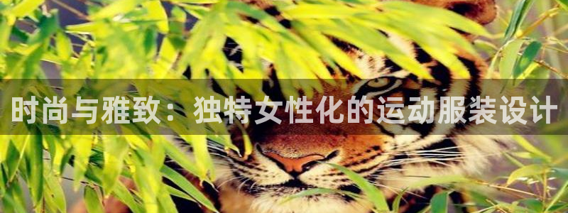 三亿体育