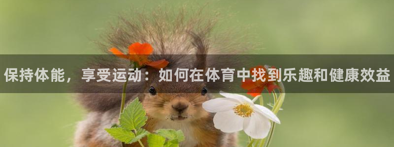 三亿体育
