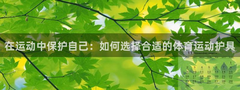 三亿体育网页版