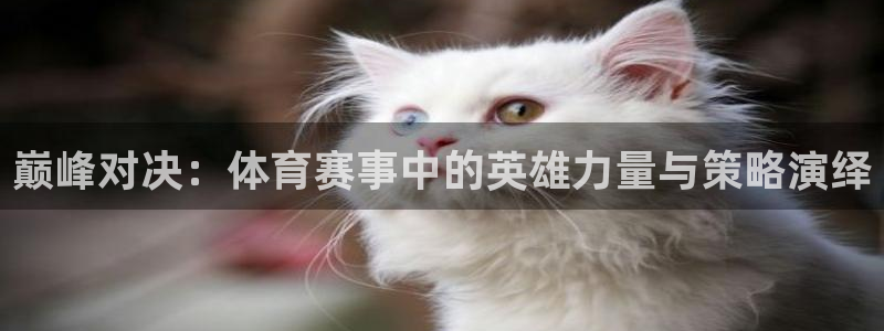 三亿体育登录