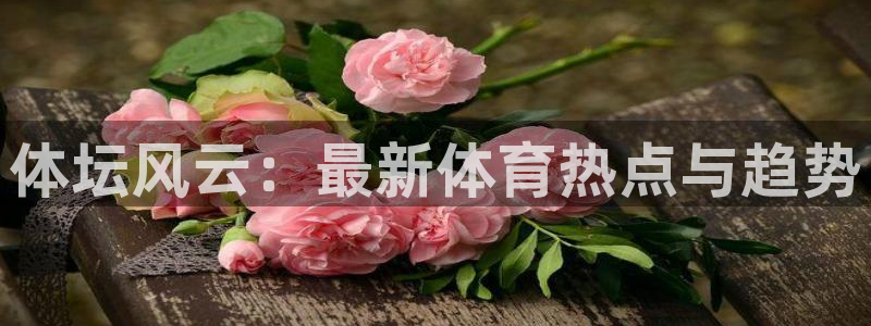 三亿体育登录