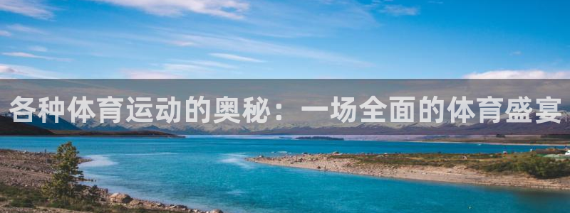 三亿体育网