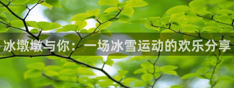 三亿体育网