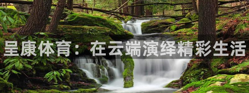 三亿体育登录