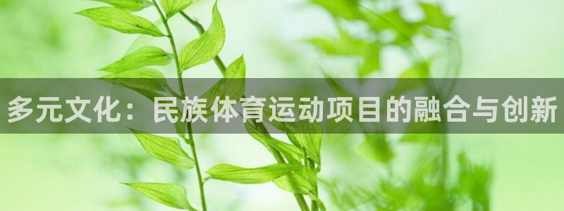 三亿体育