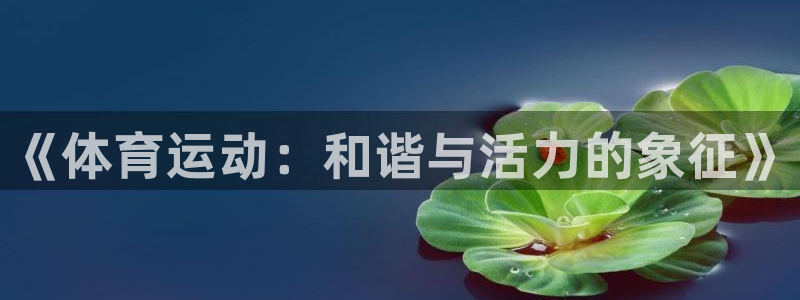 三亿体育