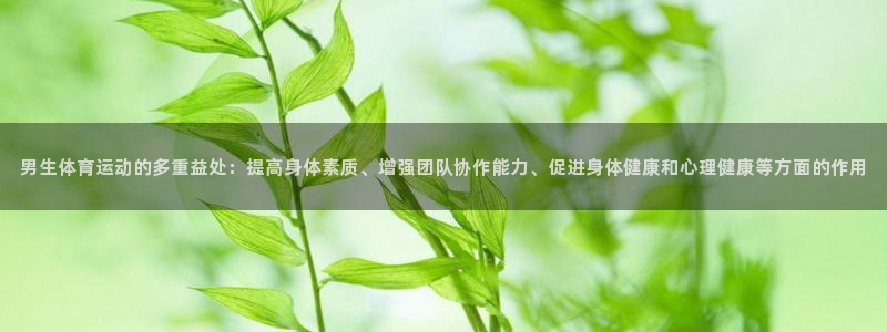三亿体育网页版